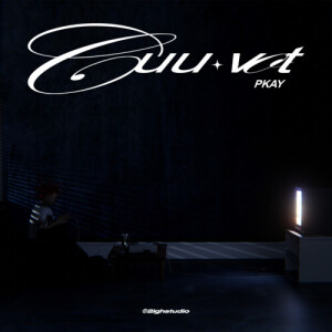 Listen to Cứu Vớt song with lyrics from PKay