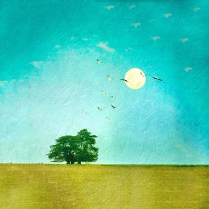 Album Deja Vu oleh 王蕰
