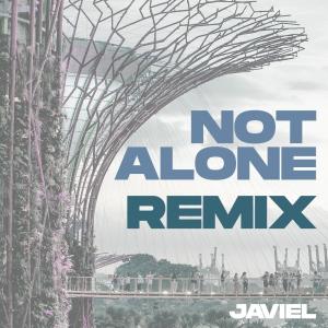 Javiel Liow的專輯Not Alone (feat. Benjamin Kheng, Evan Low & NDPeeps)