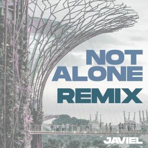 Benjamin Kheng的專輯Not Alone (feat. Benjamin Kheng, Evan Low & NDPeeps)