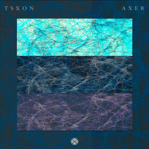 Listen to Turn On The Bass song with lyrics from Axer