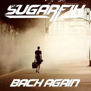 ดาวน์โหลดและฟังเพลง Back Again (feat. Jase Old & The Darren Phillips Project) พร้อมเนื้อเพลงจาก The Sugarfix