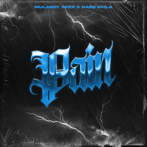Listen to Pain (Explicit) song with lyrics from MulaBoy Skee
