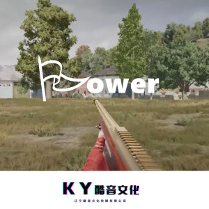 Album Power from 刘硕