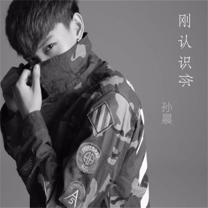 Listen to 刚认识你 song with lyrics from 孙晨