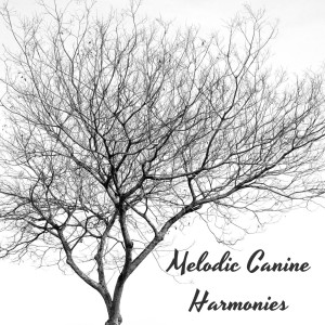Piano Paws: Melodic Canine Harmonies