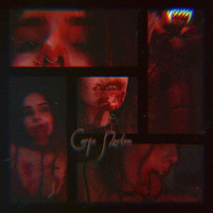 Listen to Blood Type (Explicit) song with lyrics from The Vampire Youth
