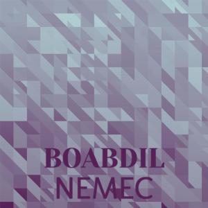 Various Artists的專輯Boabdil Nemec