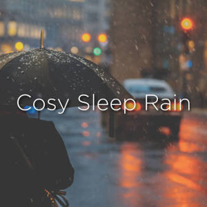 ดาวน์โหลดและฟังเพลง Rain Playlist พร้อมเนื้อเพลงจาก Relaxing Rain Sounds