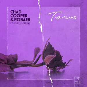 收聽Chad Cooper的Torn (feat. Emelie Cyréus)歌詞歌曲