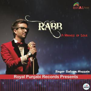 Saleem Hussain的专辑Rabb