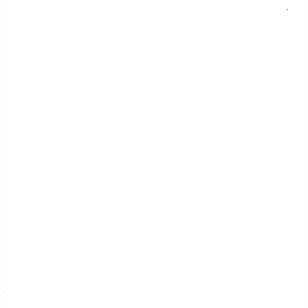 FAKE ***** (Explicit)