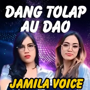 Dompak Sinaga的专辑Dang Tolap Au Dao (Min One)