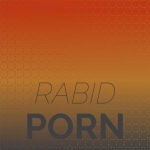 Various Artists的專輯Rabid Porn