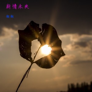 收聽潮潮的新情未央 (伴奏)歌詞歌曲