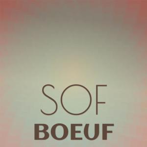 Various的专辑Sof Boeuf