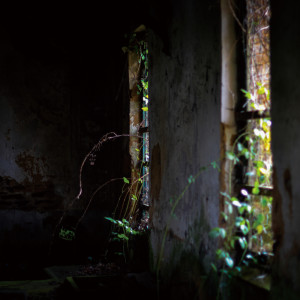 Album Obscured By Beams Of Sorrow from 