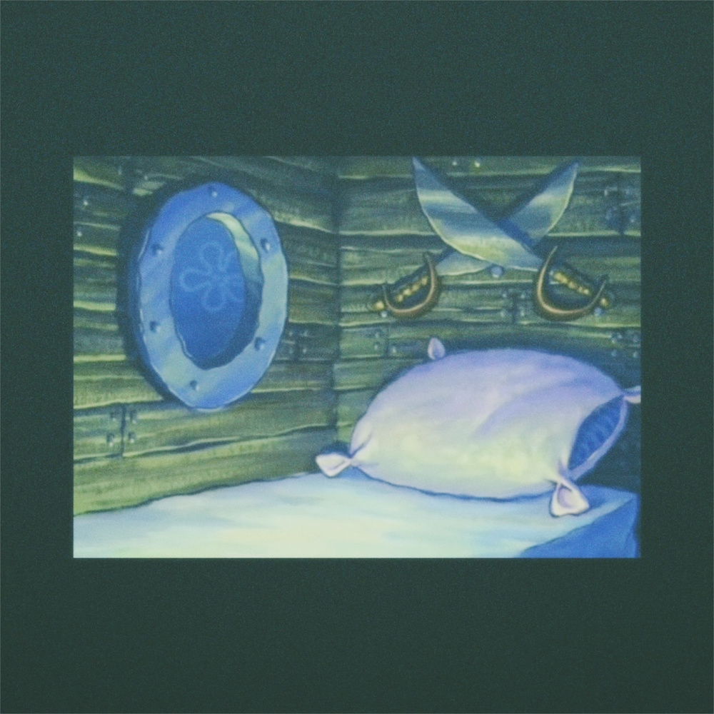 Still Life (Bird Sounds)