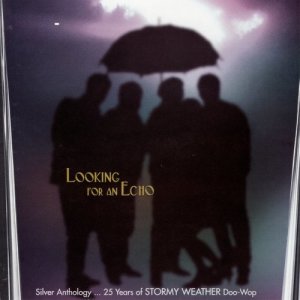 อัลบัม Looking For An Echo ศิลปิน Stormy Weather