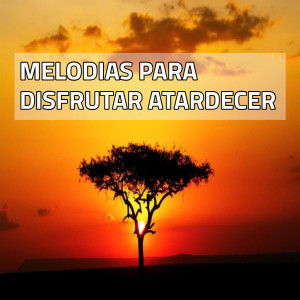 To Relaxing的專輯Melodías para Disfrutar Atardecer