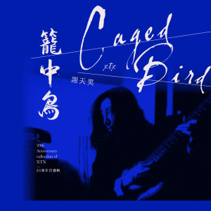 收聽謝天笑的籠中鳥（2020年版）歌詞歌曲