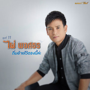 อัลบัม ไผ่ พงศธร ชุดที่ 11 ถิ่มอ้ายไว้ตรงนี้ล่ะ ศิลปิน ไผ่ พงศธร