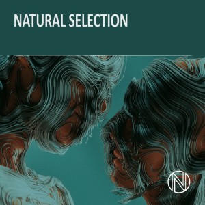 ดาวน์โหลดและฟังเพลง Put Your Heart In It พร้อมเนื้อเพลงจาก Phillipa Alexander