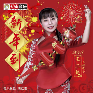 收听王二妮的新年到歌词歌曲