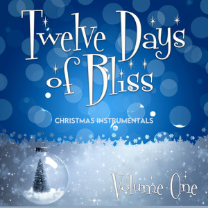 Listen to Here We Come A Wassailing song with lyrics from Northern Aires