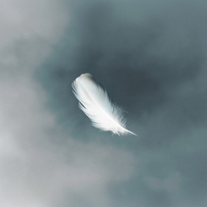 收聽Micheal Royal的Feather歌詞歌曲