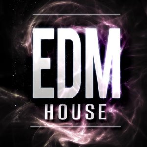 EDM House Hits的專輯EDM House