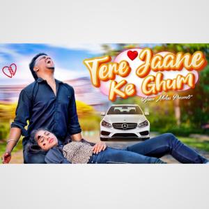 Dengarkan lagu Tere Jaane Ke Ghum nyanyian Aman Mehra dengan lirik