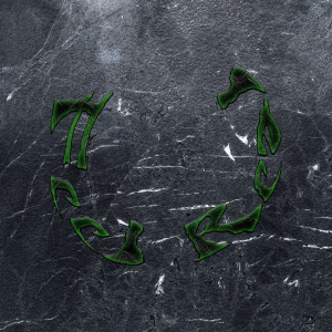 Album Feel Real from Snavs