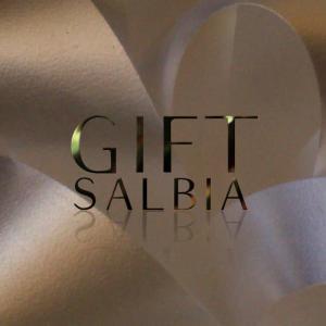 ดาวน์โหลดและฟังเพลง Gift พร้อมเนื้อเพลงจาก Salbia