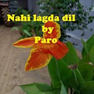 Listen to Nahi lagda dil wav song with lyrics from Paro