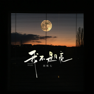 Listen to 我不是月亮 song with lyrics from 刘烁七