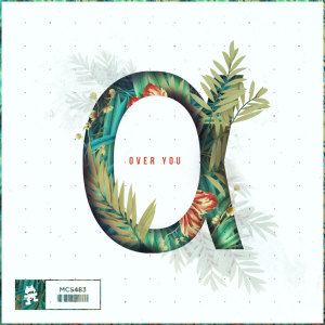 Listen to Over You song with lyrics from soupandreas