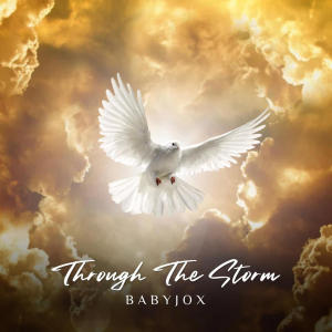 BabyJox的專輯Through The Storm (Explicit)