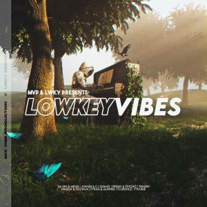 อัลบัม LOWKEYVIBES ศิลปิน Various