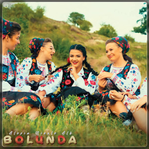 Album Bolunda from 