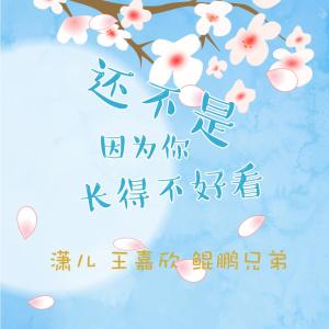 收听潇儿的还不是因为你长得不好看 (真人版）歌词歌曲