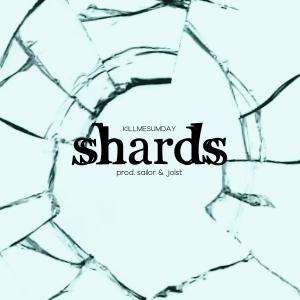 Listen to shards (Explicit) song with lyrics from killmesumday