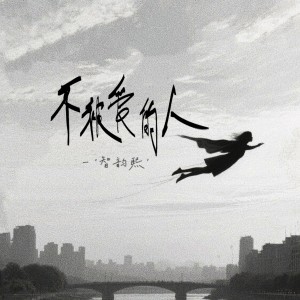 Listen to 不被爱的人 (DJ版) song with lyrics from 安沫英