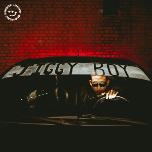 อัลบัม JIGGY BOY ศิลปิน 토이고