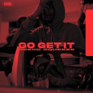 Listen to Go Get It (Explicit) song with lyrics from Reeko Squeeze