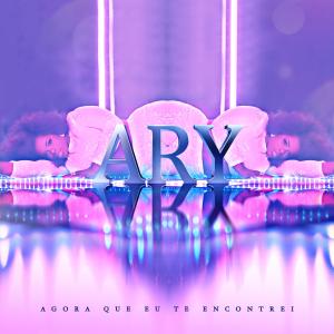 Listen to Agora Que Eu Te Encontrei song with lyrics from Ary