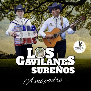 收聽Los Gavilanes Sureños的María Tete歌詞歌曲