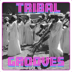 Tribal Grooves Vol. 16