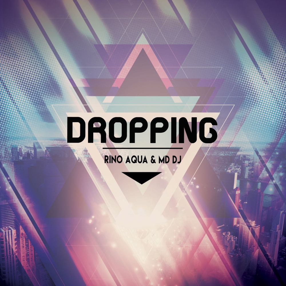 Dropping (Original Mix)