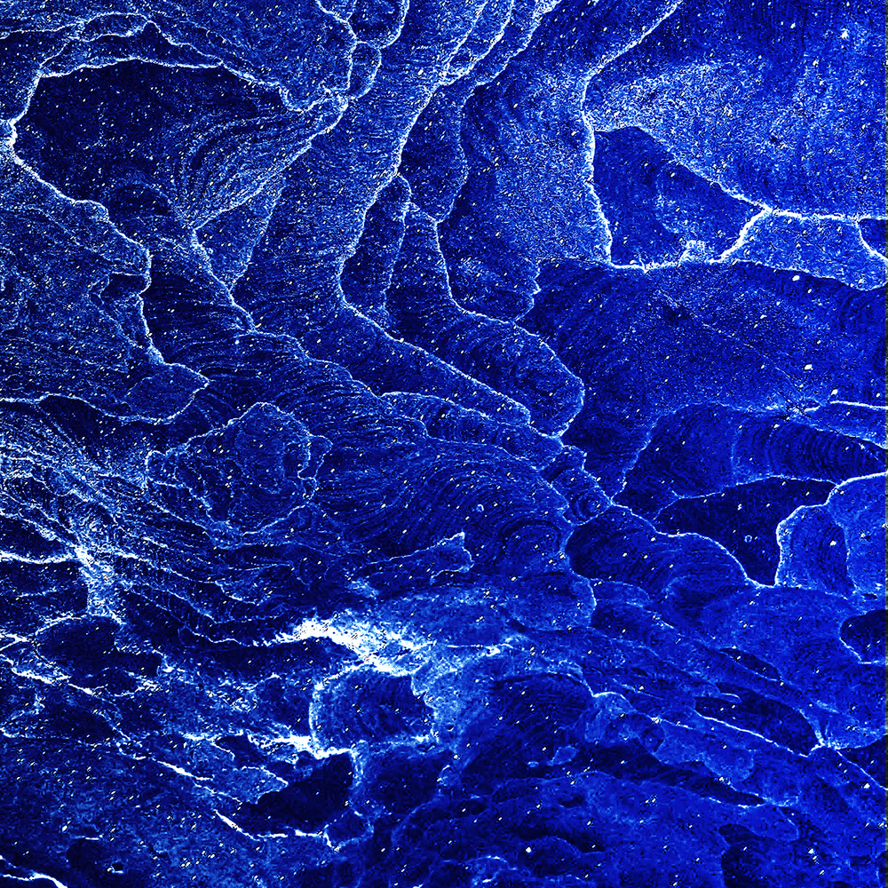 Transignal (其他)
